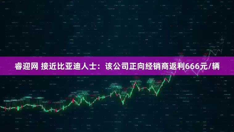 睿迎网 接近比亚迪人士：该公司正向经销商返利666元/辆